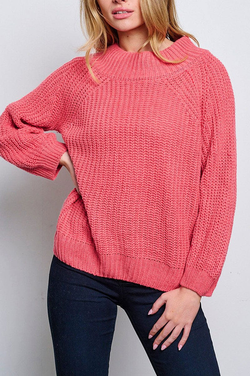 Long sleeve knitted pullover sweater (RVWT6553)