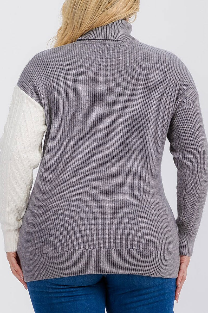 Turtle neck detailed colorblock pullover sweater (RVWT6652)