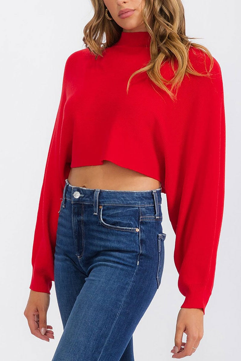 Long sleeve mock neck knit crop top (RVWT6683)