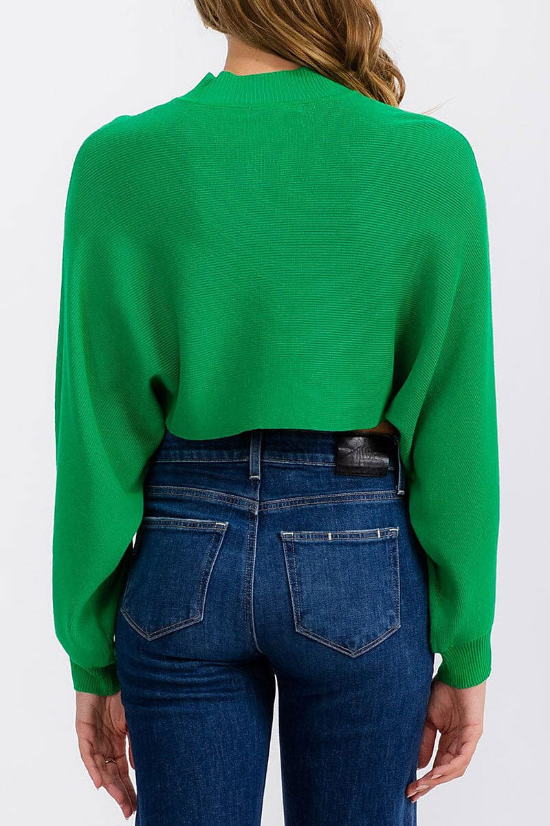 Long sleeve mock neck knit crop top (RVWT6683)