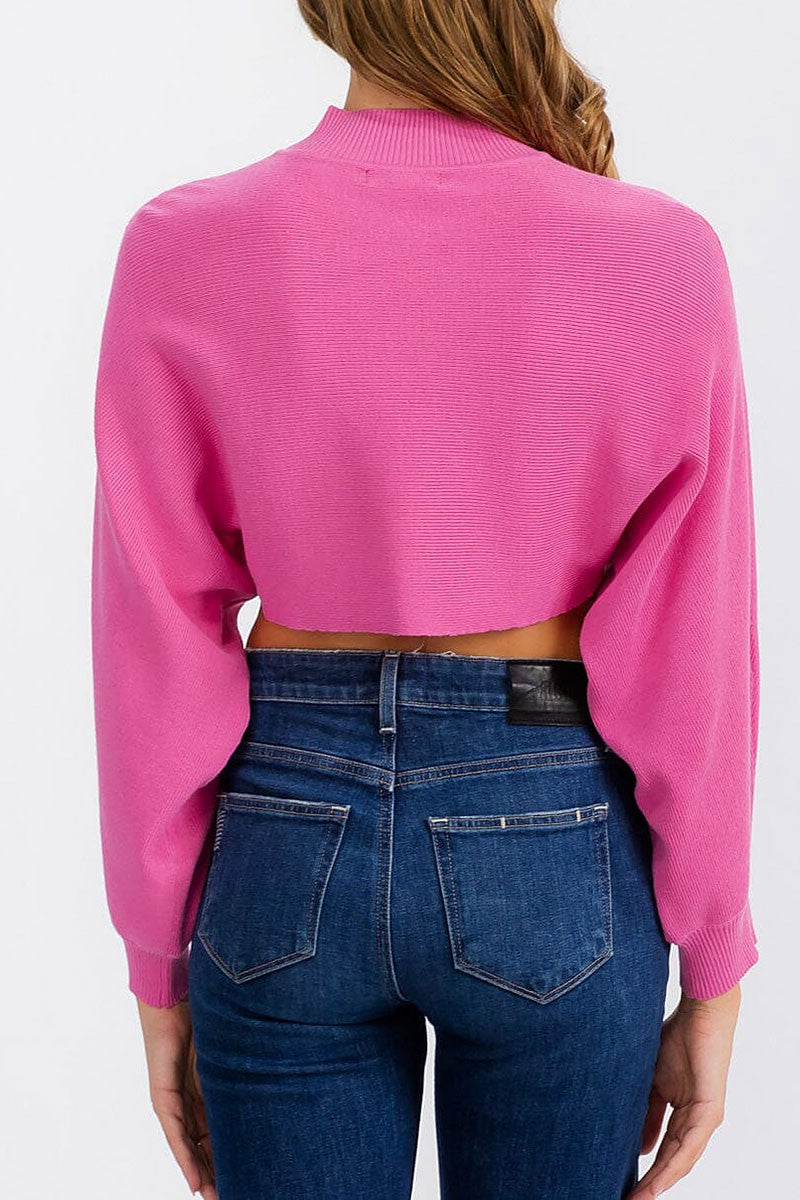 Long sleeve mock neck knit crop top (RVWT6683)