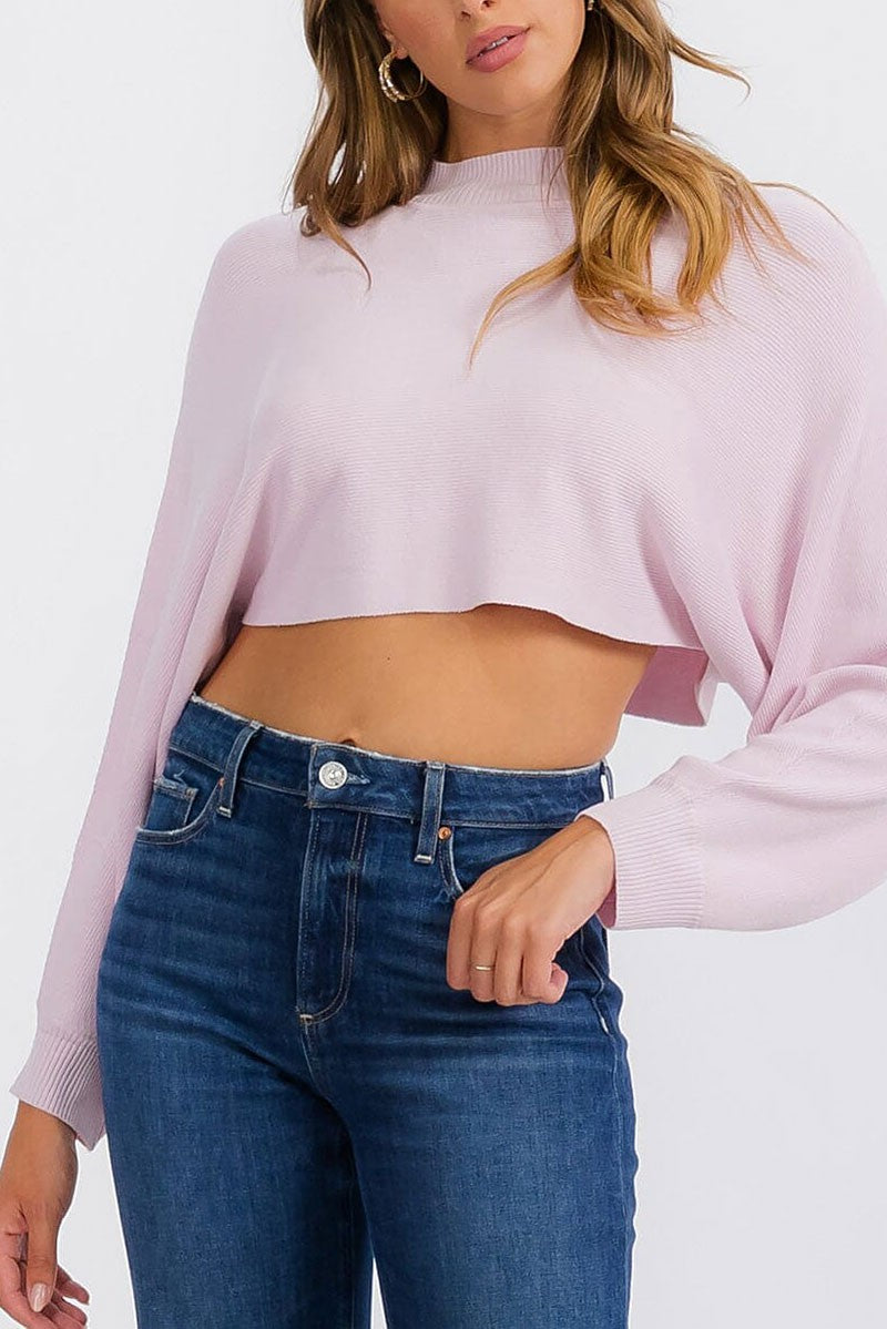 Long sleeve mock neck knit crop top (RVWT6683)