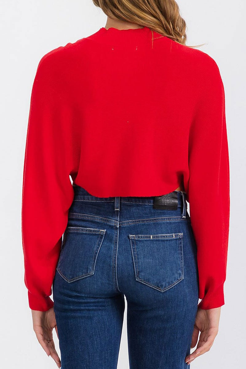 Long sleeve mock neck knit crop top (RVWT6683)