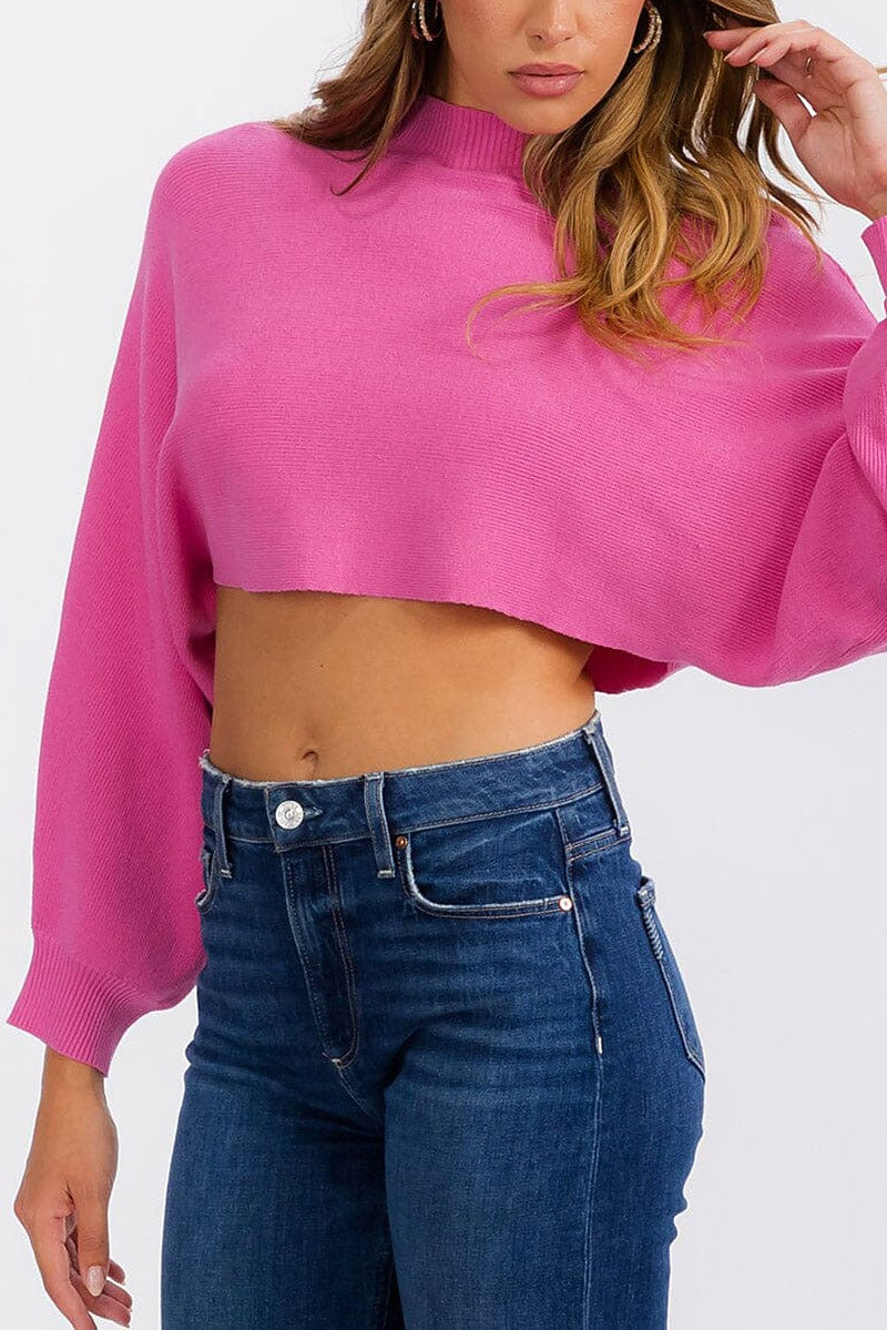 Long sleeve mock neck knit crop top (RVWT6683)