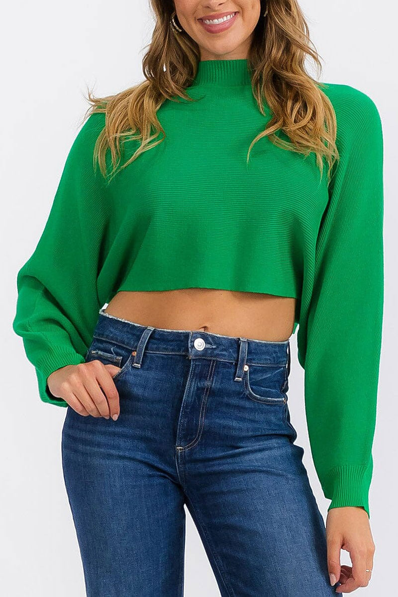 Long sleeve mock neck knit crop top (RVWT6683)