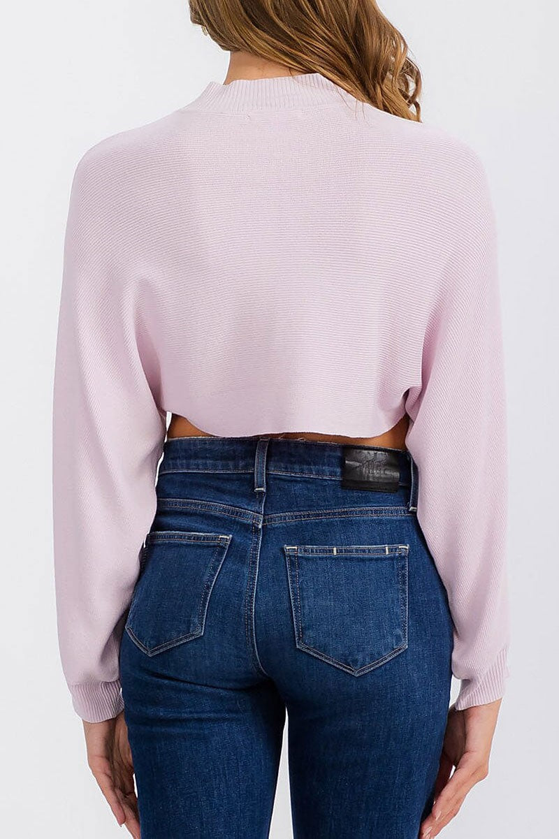 Long sleeve mock neck knit crop top (RVWT6683)