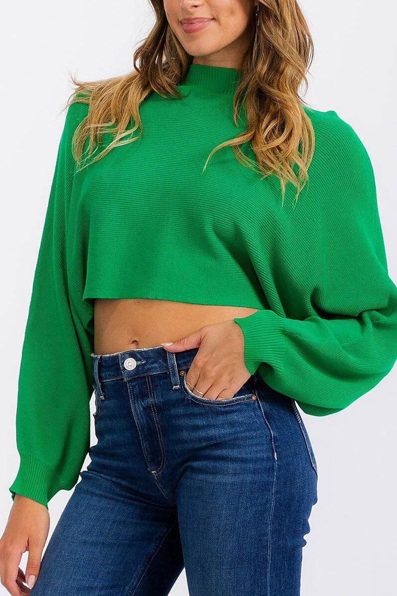 Long sleeve mock neck knit crop top (RVWT6683)