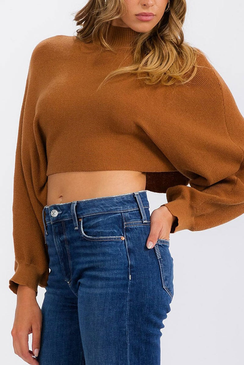 Long sleeve mock neck knit crop top (RVWT6684)