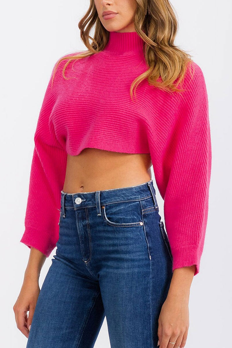 Long sleeve mock neck knit crop top (RVWT6685)