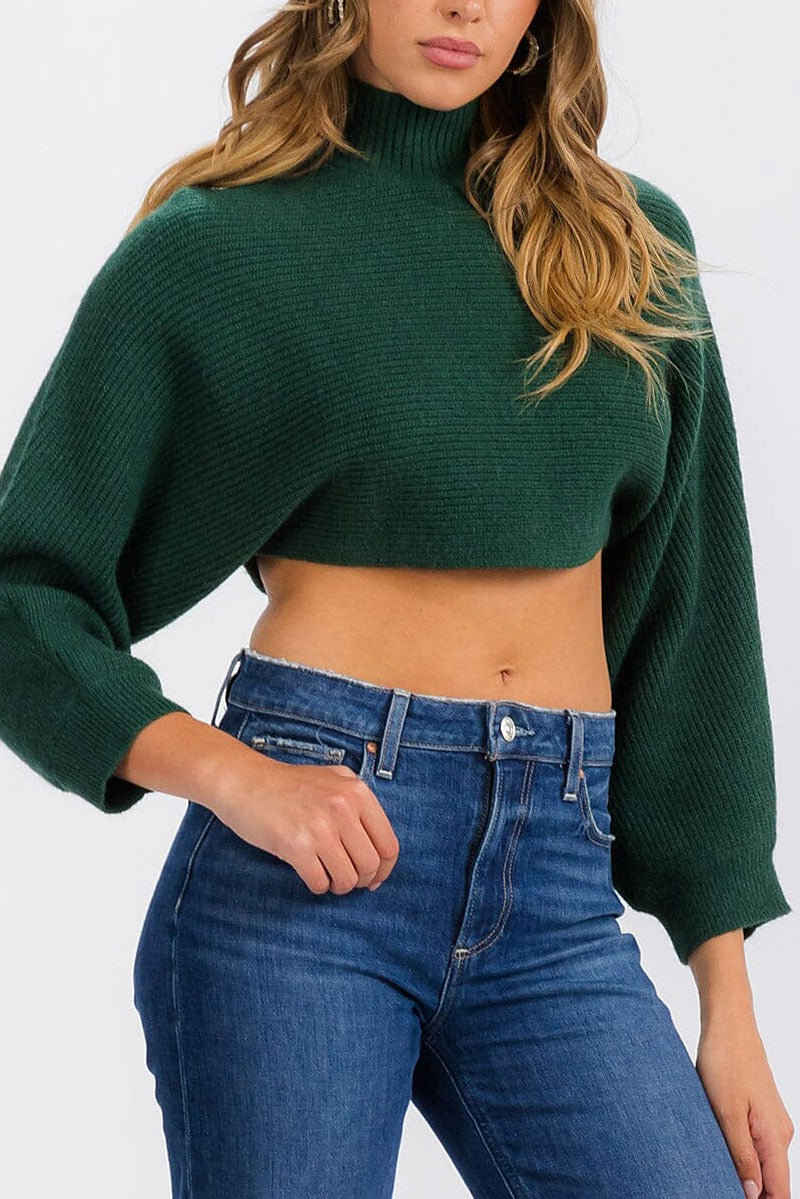 Long sleeve mock neck knit crop top (RVWT6685)