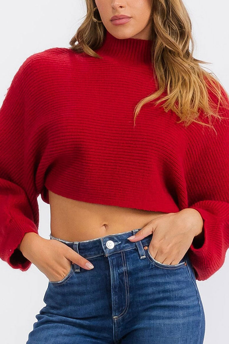 Long sleeve mock neck knit crop top (RVWT6685)