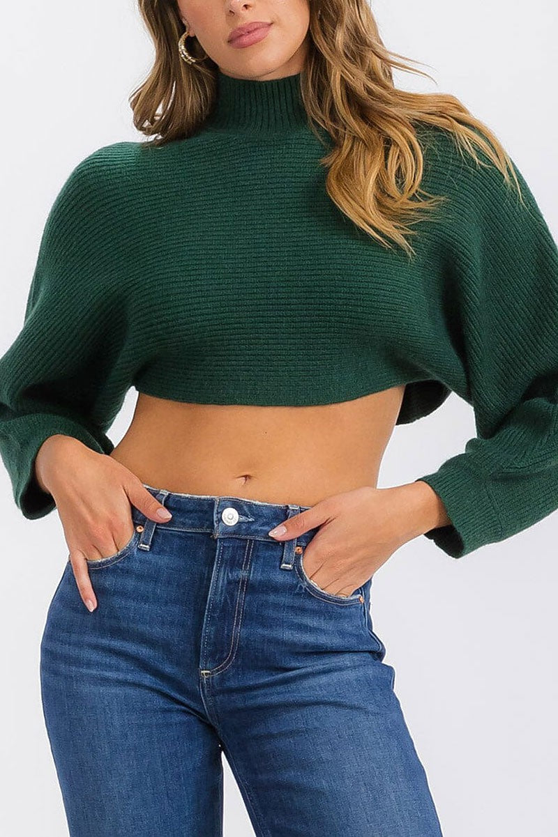 Long sleeve mock neck knit crop top (RVWT6685)