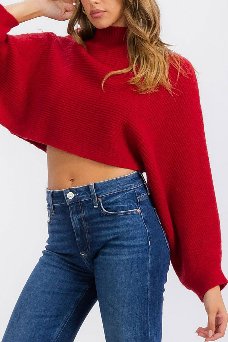 Long sleeve mock neck knit crop top (RVWT6685)