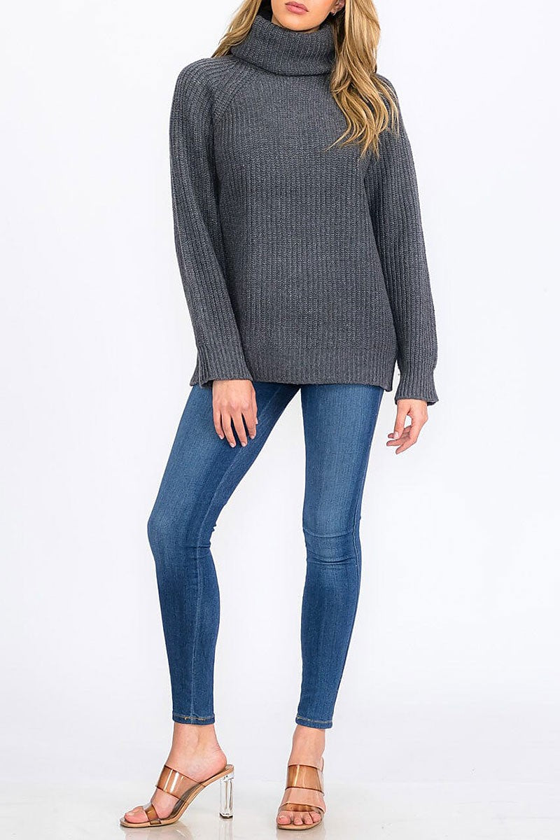 Long sleeves turtle neck pullover knit sweater (RVWT8553)