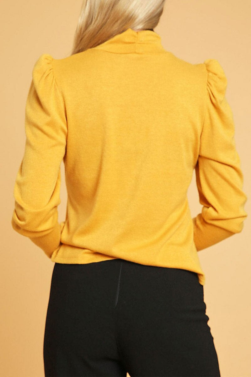 Long sleeve turtle neck top (RVWT9204)