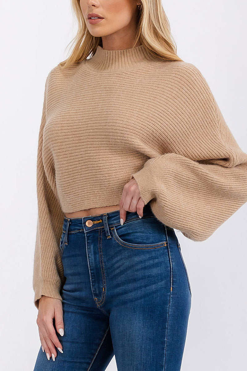 Long sleeve mock neck knit crop top (RVWT6685)