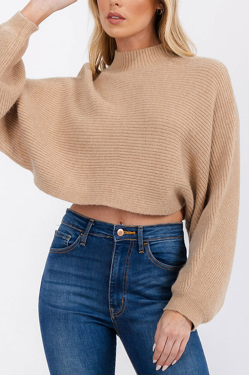 Long sleeve mock neck knit crop top (RVWT6685)