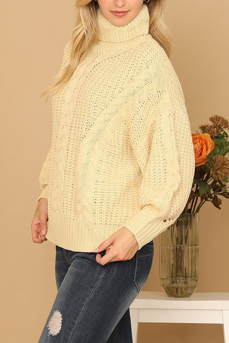 Turtle neck long sleeve knitted sweater (DGS6670)