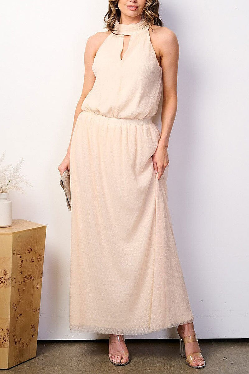 Haltner neck bodysuit & maxi skirt chiffon set (EFWT8413)