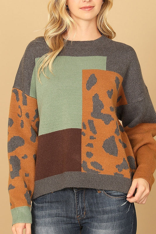 Printed knit sweater (DGS6712)