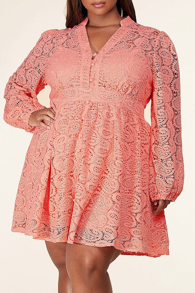 Long sleeve lace v neck mini dress (EDWT8873)