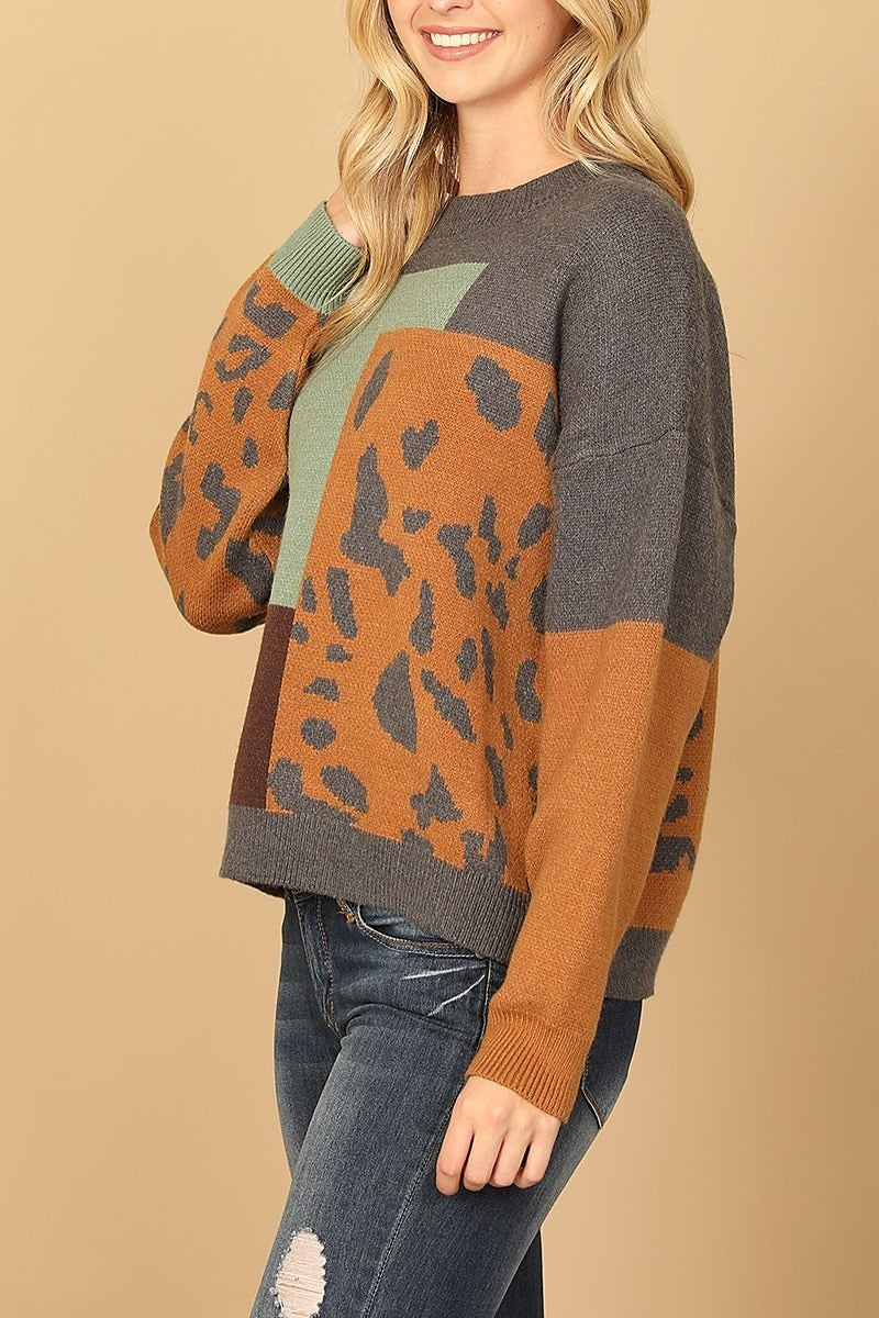 Printed knit sweater (DGS6712)