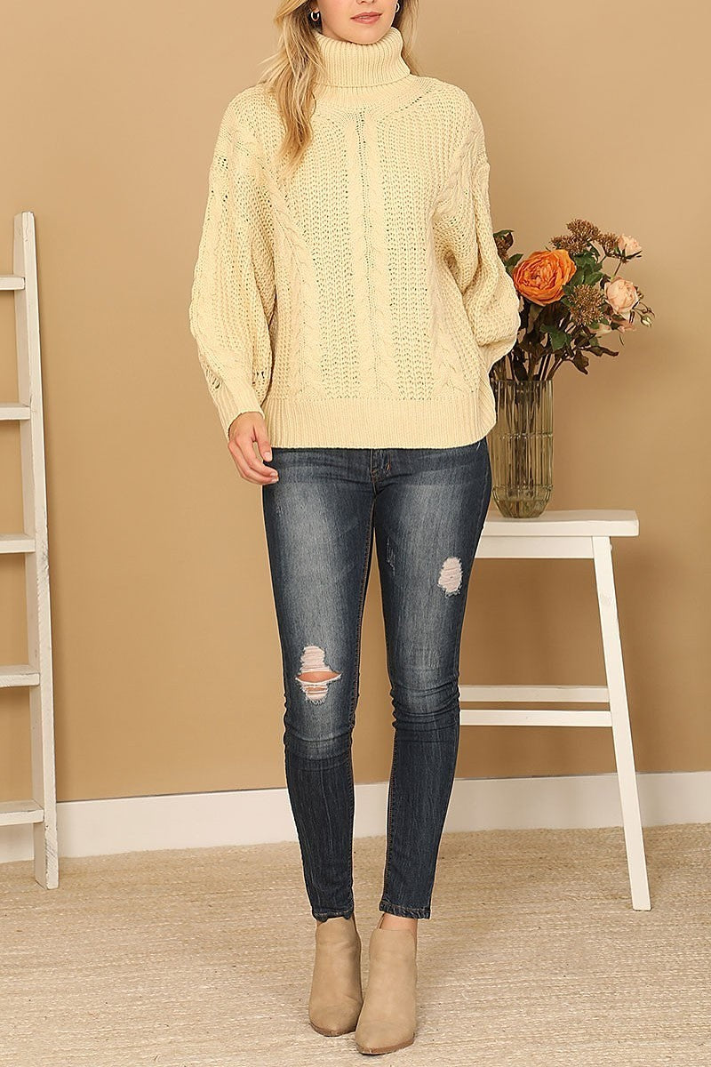 Turtle neck long sleeve knitted sweater (DGS6670)