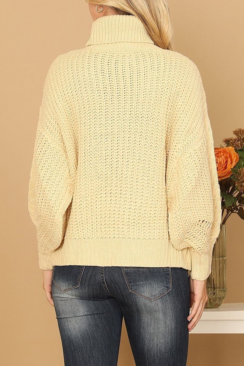 Turtle neck long sleeve knitted sweater (DGS6670)