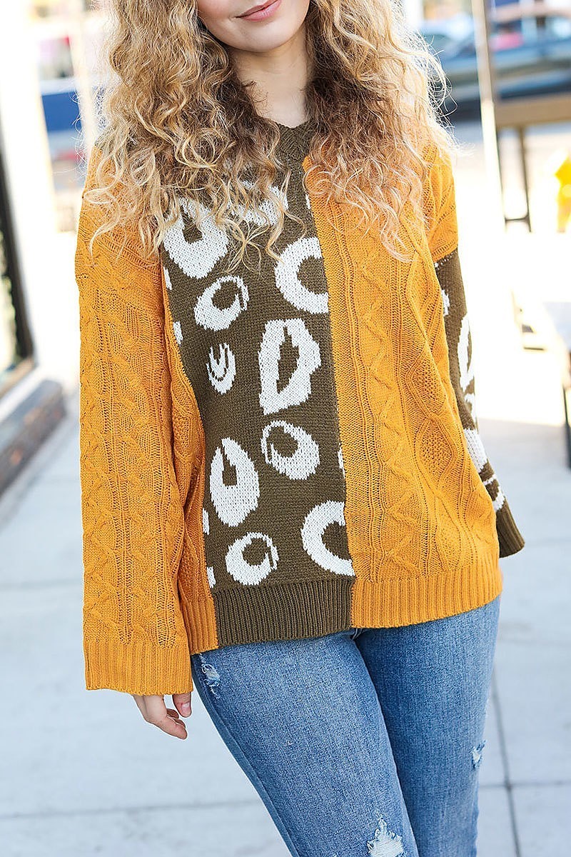 Animal print color block sweater (ETBM4211)