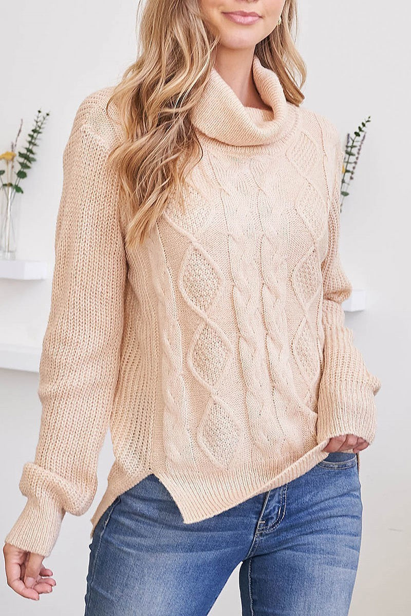 Cable ribbed detail turtle neck sweater (DGS5669)