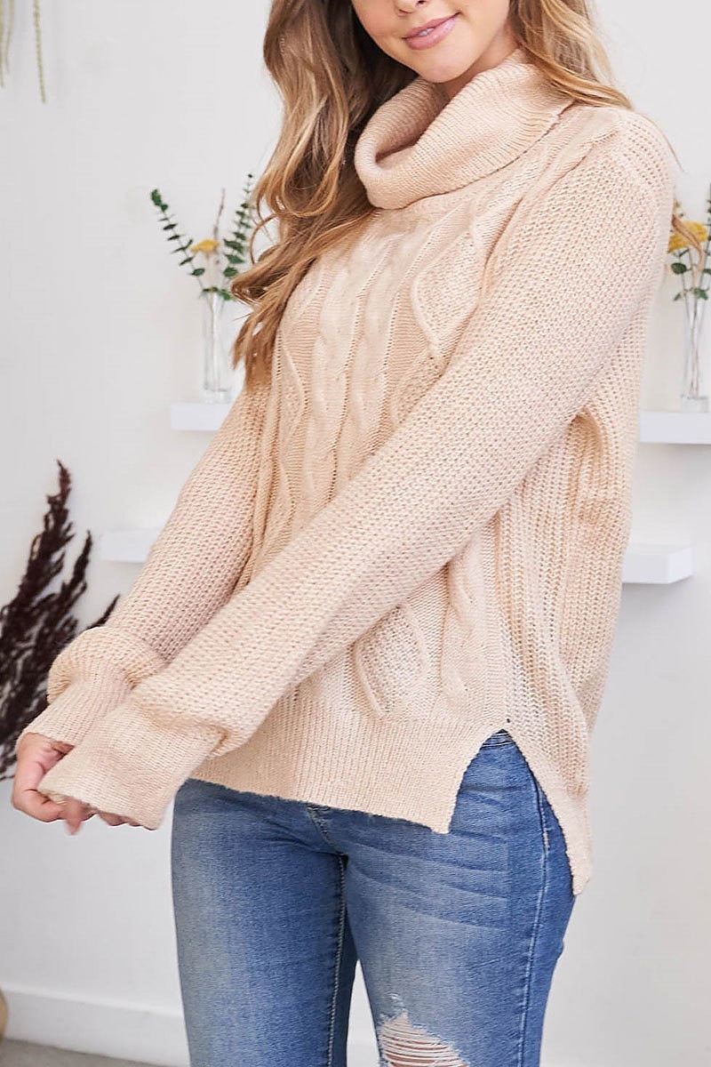 Cable ribbed detail turtle neck sweater (DGS5669)