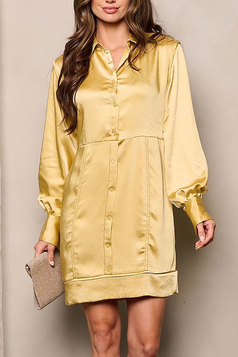 Long sleeve button up satin mini dress (EFWT4401)