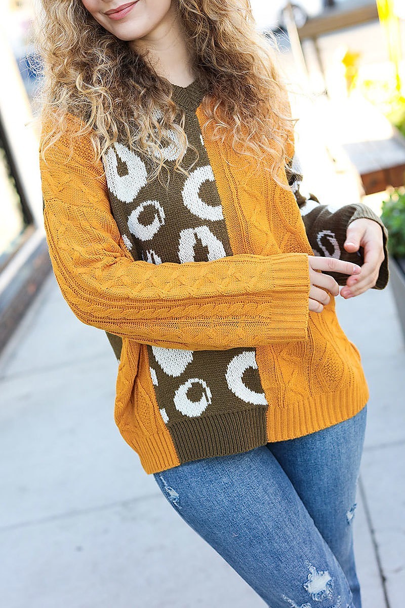 Animal print color block sweater (ETBM4211)