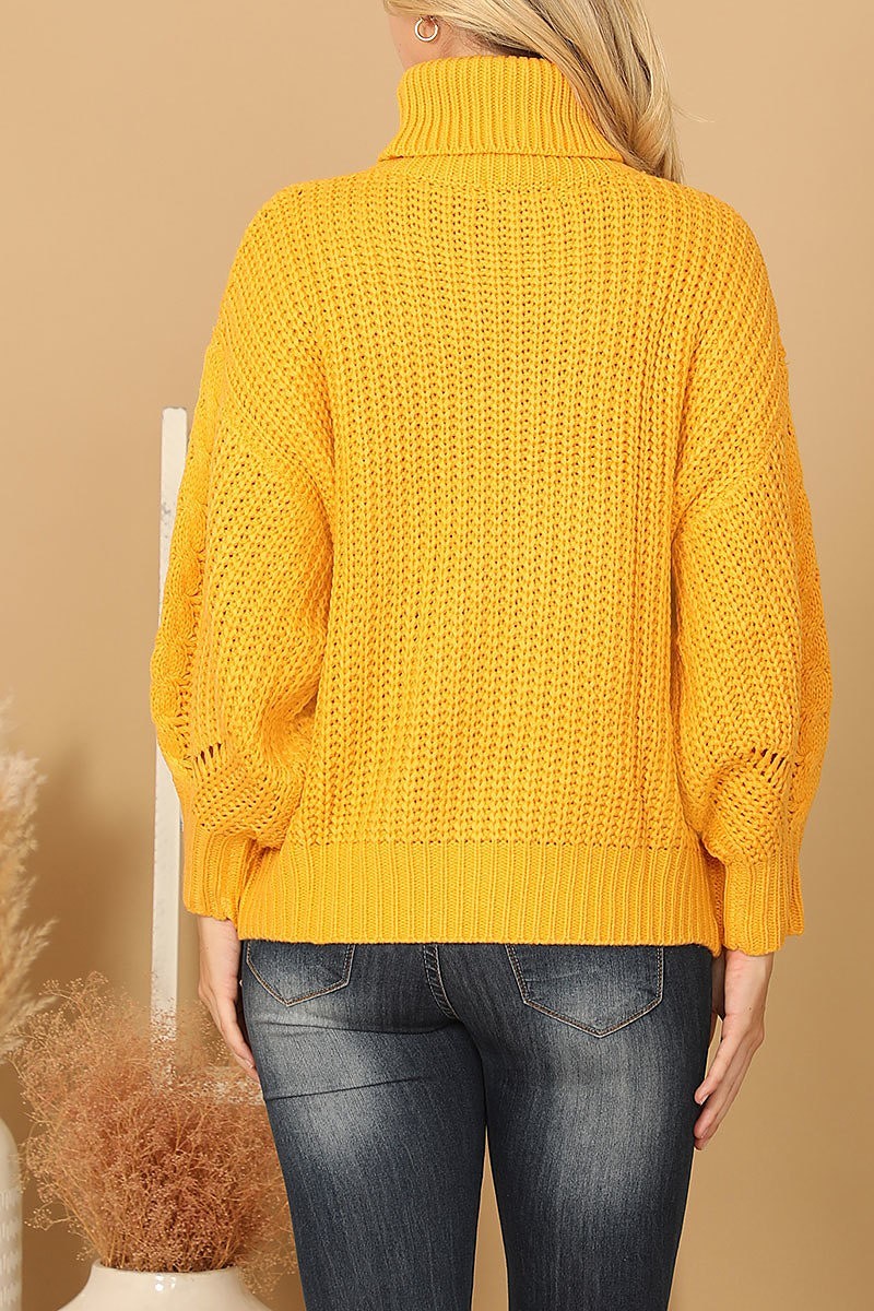 Turtle neck long sleeve knitted sweater (DGS6670)