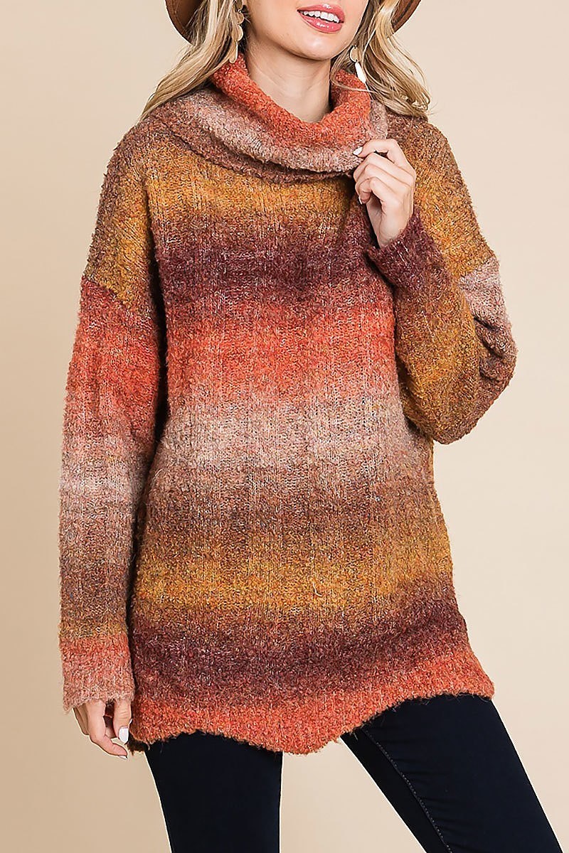 Multi color stripe turtle neck sweater top (EDH1877)