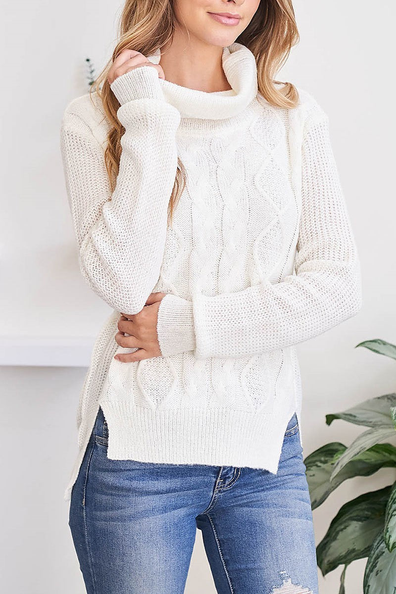 Cable ribbed detail turtle neck sweater (DGS5669)