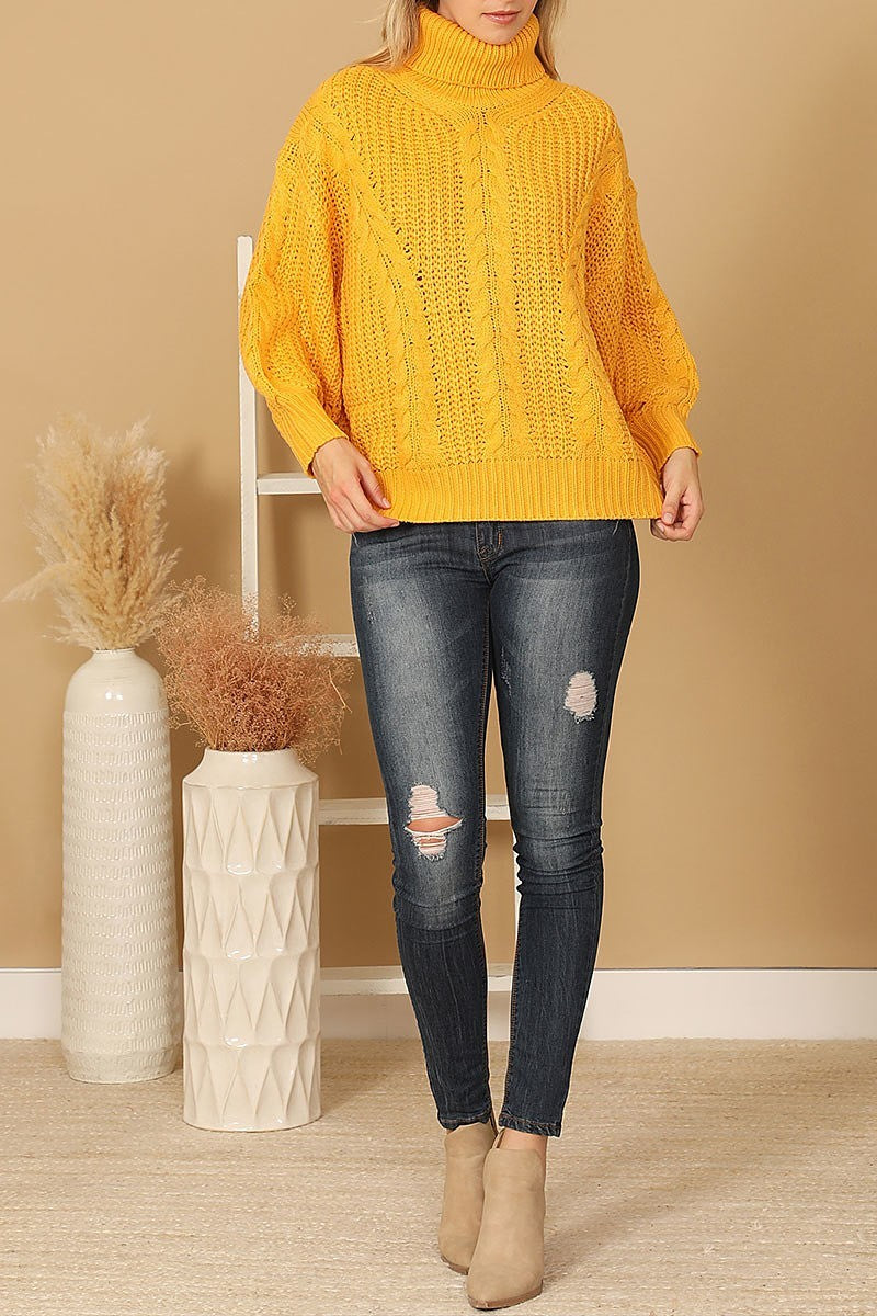 Turtle neck long sleeve knitted sweater (DGS6670)