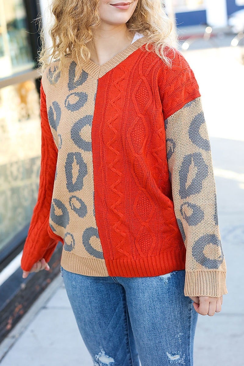 Animal print color block sweater (ETBM4208)