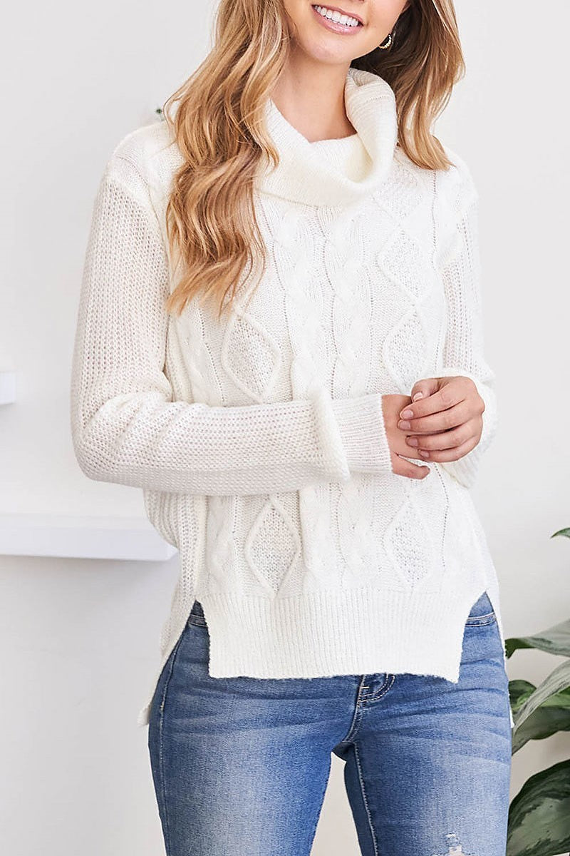 Cable ribbed detail turtle neck sweater (DGS5669)