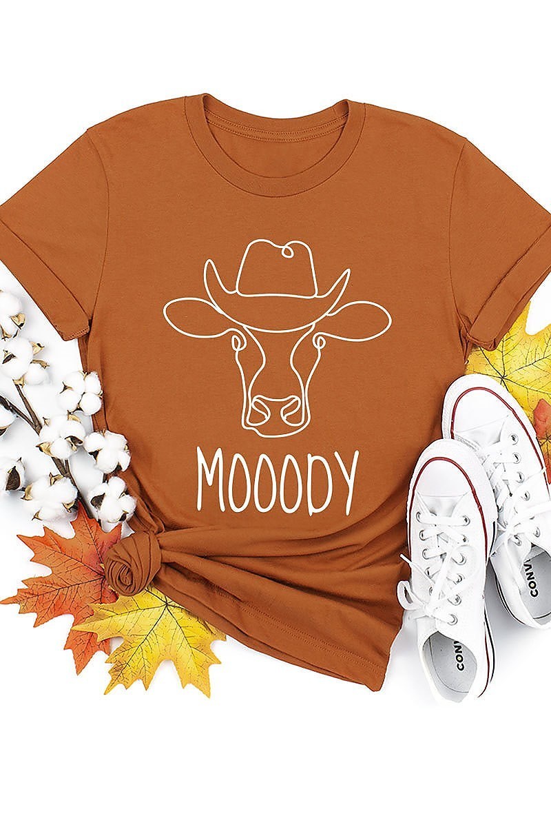 Moody cow with cowboy hat top (EF3872)