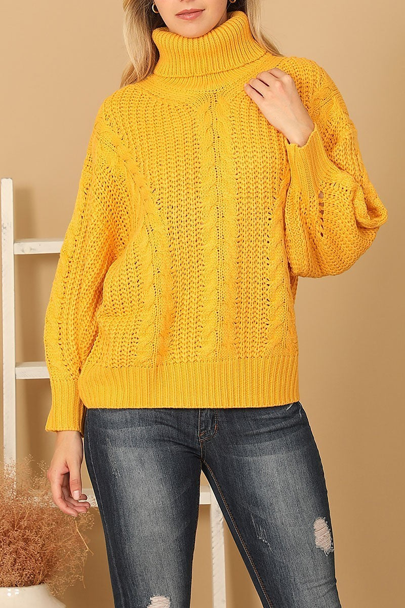 Turtle neck long sleeve knitted sweater (DGS6670)