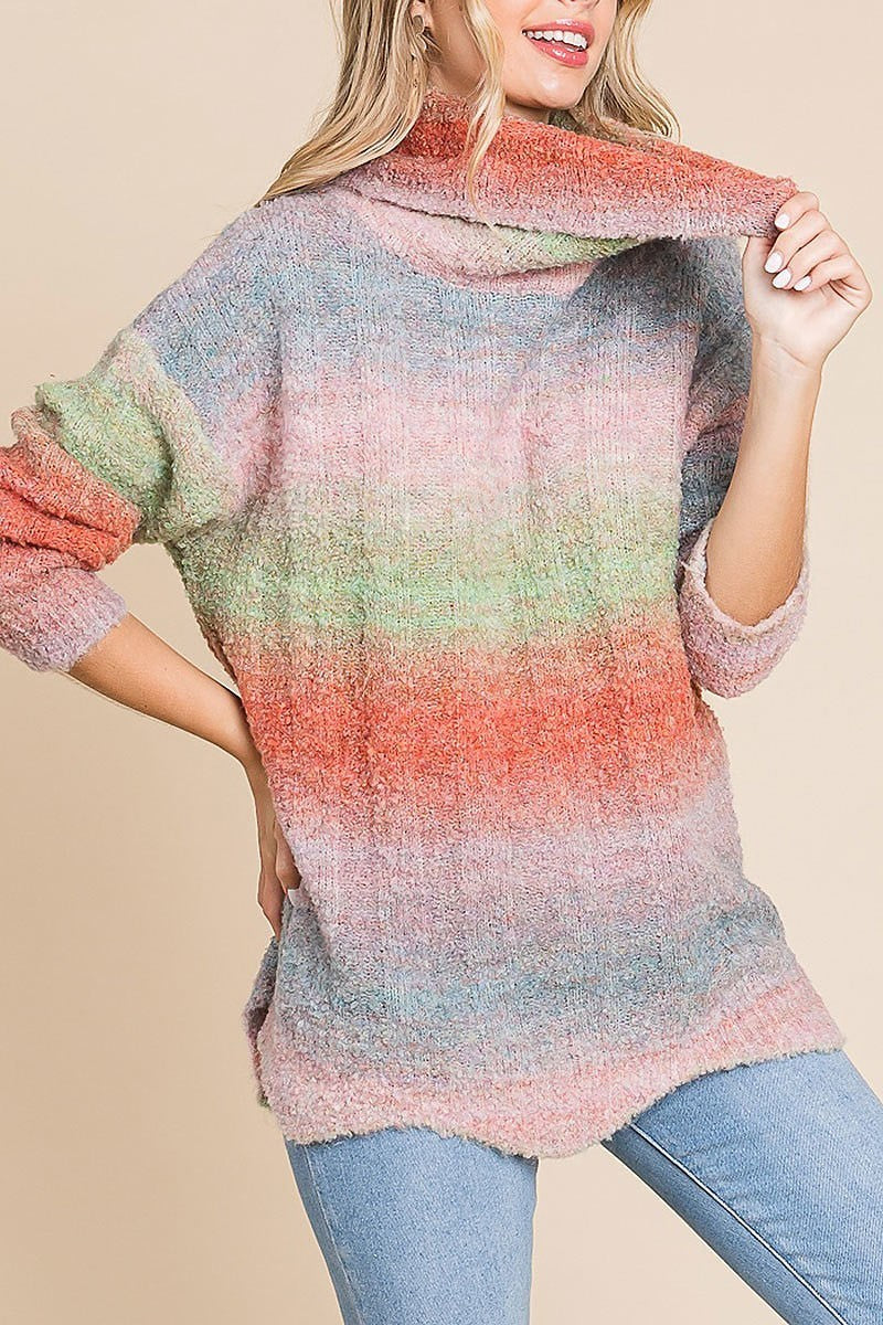 Multi color stripe turtle neck sweater top (EDH1877)