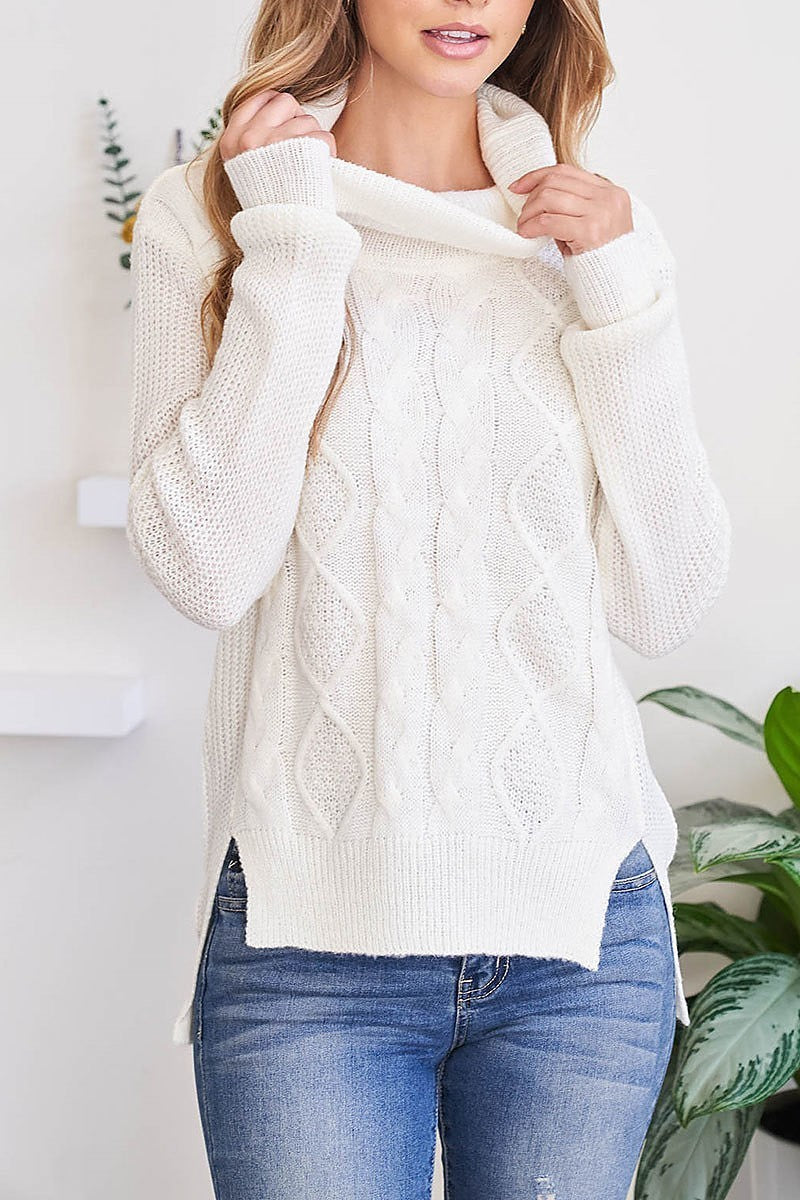 Cable ribbed detail turtle neck sweater (DGS5669)