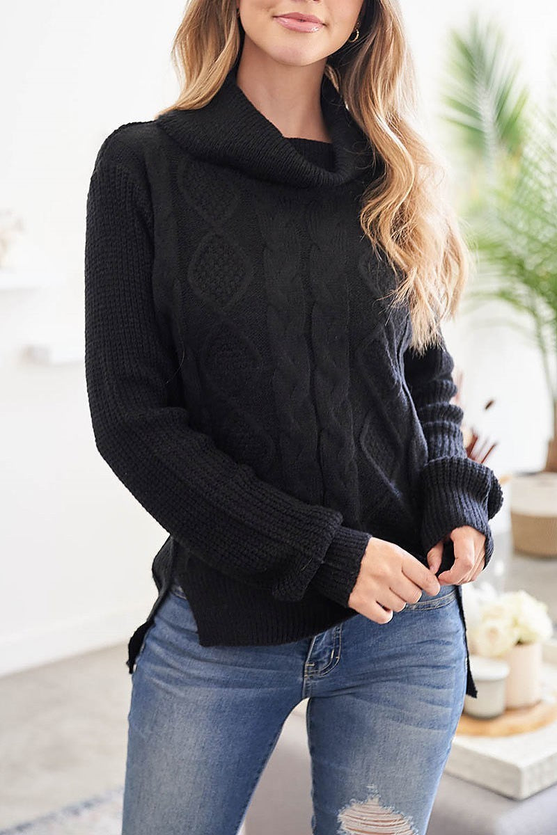 Cable ribbed detail turtle neck sweater (DGS5669)